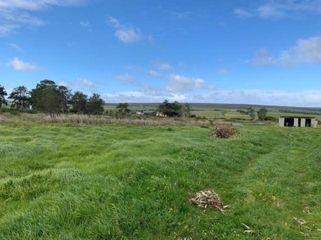 10 ha Land available in Baardskeerdersbos