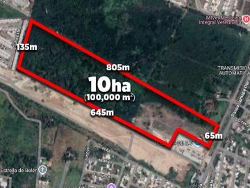 10 HECTÁREAS COMERCIALES EN VENTA EN MEDELLIN VERACRUZ | ARLETTE FLORES