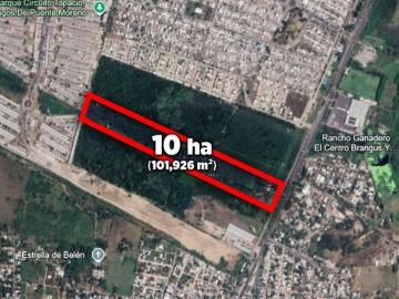 10 HECTÁREAS EN VENTA EN PUENTE MORENO VERACRUZ | ARLETTE FLORES
