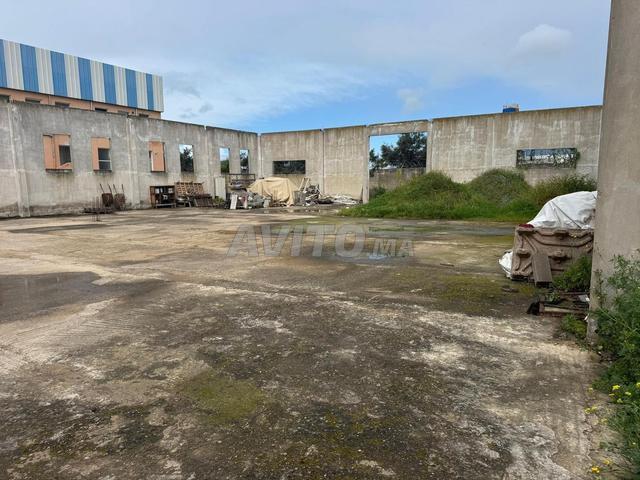 10 hectares zone villa et R+3 R+2