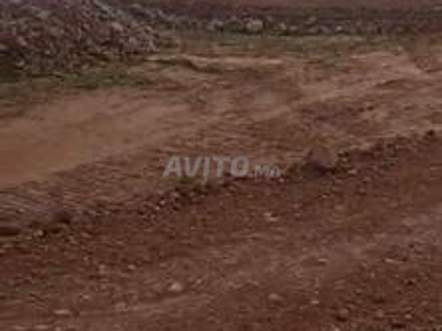 10 hectares à vendre à Guelmim Ibaïnou