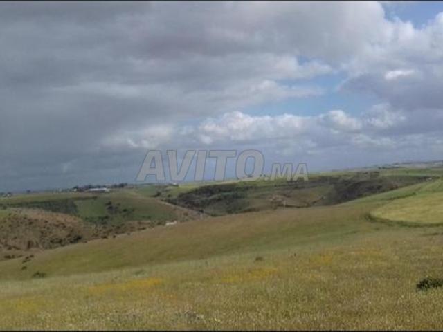 10 hectares environs Tiflet 12 millions hectare