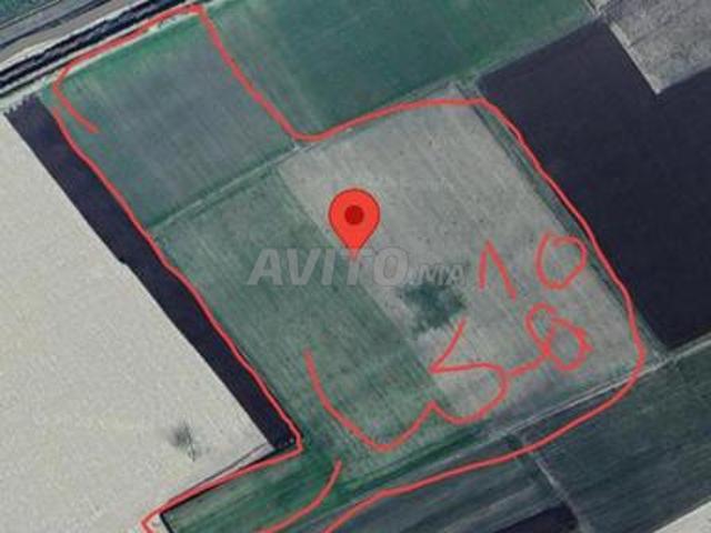 10 hectares près de Wazin Qadous, Souk Jmaa Belkassiri
