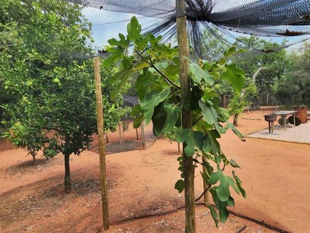 10 m² Farm in Modimolle
