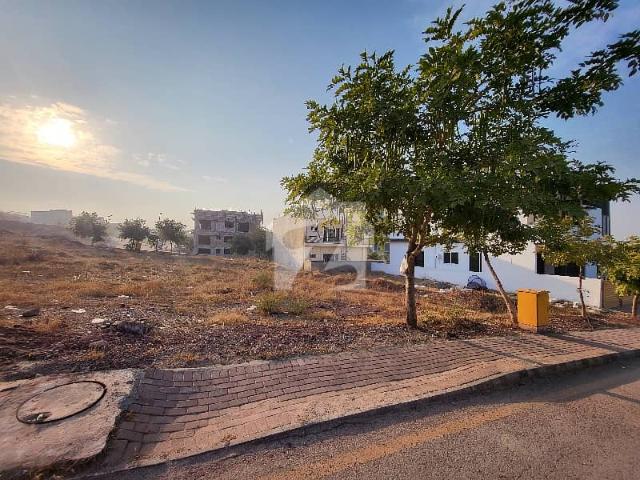 10 Marla Beautiful Plot For Sale