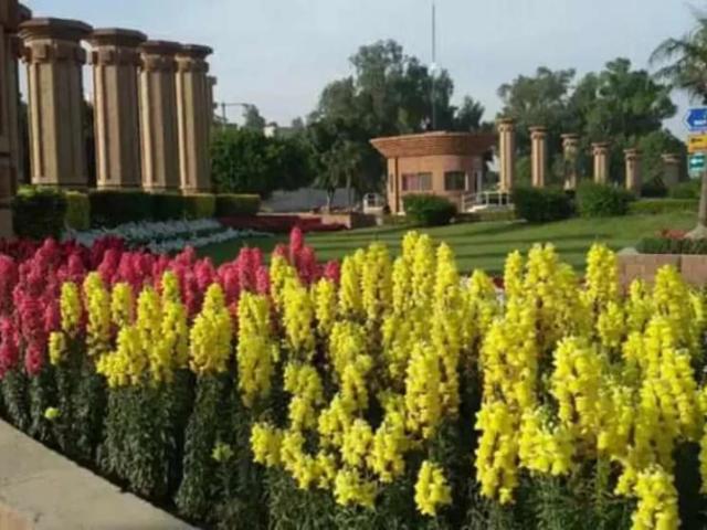 10 marla brand new home available in wapda city Faisalabad ID 03079
