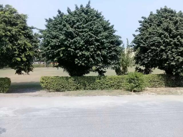 10. Marla facing park new portion for rent in Punjab socitey near bhria Lahore Punjab Govt Servant Society ID 21070
