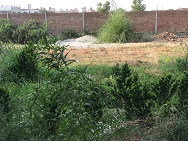10 Marla, gated covered society, electricity, sewerage, no gas Bahawalpur DHA Bahawalpur ID 06338