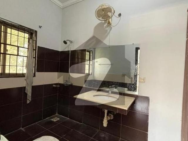 10 marla house available for rent buch executive villas
