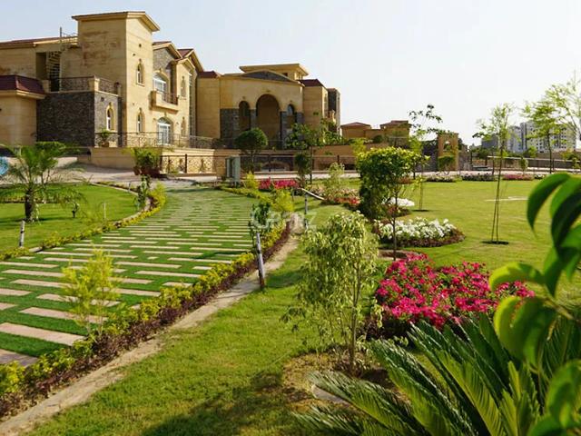 10 Marla Lower Portion for Rent in Lahore Phase 1