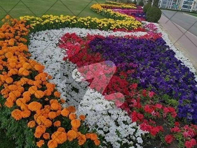 10 Marla Low Price Open Form Ready For Counstruction Plot For Sale In Bahria Orchard Phase 2 Lahore | Prime Location | Best Investment Opportunity