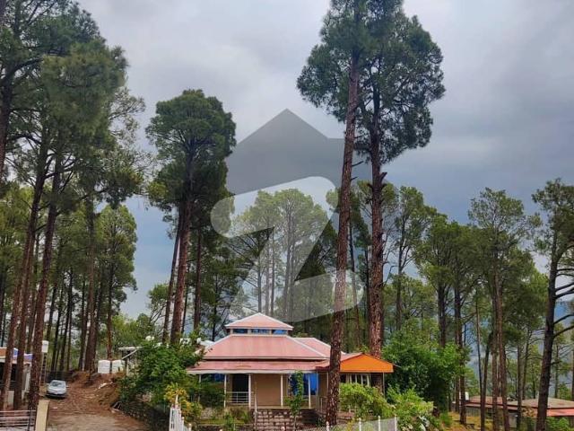 10 Marla Possession Able Plot Available For Sale In New Murree Resorts Good Location Plot Near To Commercial Area Near To Park Near To Mosque