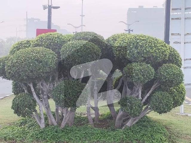 50 ft road 10 Marla Possession Utility Paid Plot Number 16 G6 For Sale