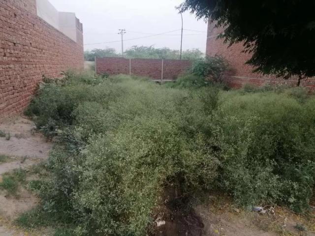 10 marla plot for sale besides eden Valley Faisalabad ID 06333