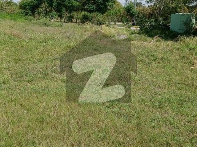 10 Marla Plot For Sale In Sector D 12/2