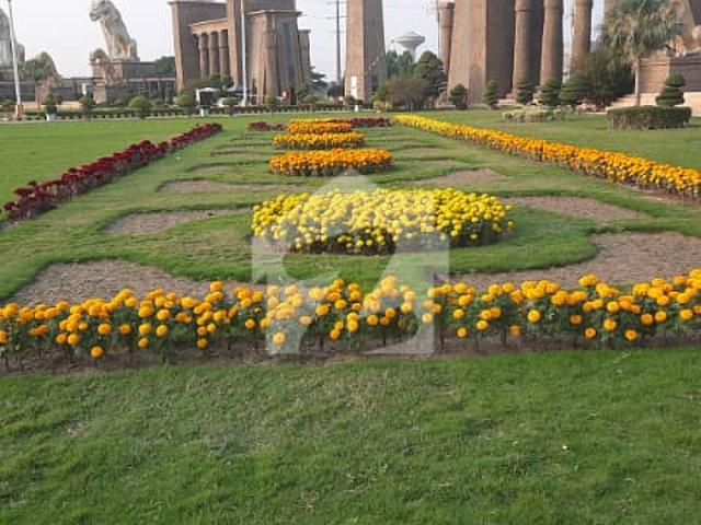 10 Marla Plot in D Block Citi Housing Sargodha Road Faisalabad