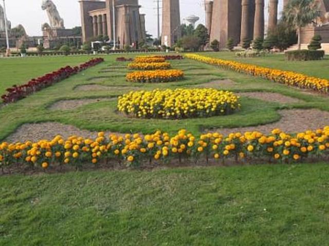 10 marla plots available in a, b, c, and d block citi in Pakistan | Clasf real estate