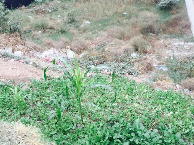 10 Marla Residential Land for Sale in Lahore Phase 8 Block Z 3