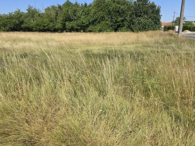 10 MN DE BEAUGENCY