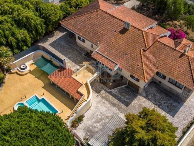 10 quarto, Caldas da Rainha Leiria 96271063