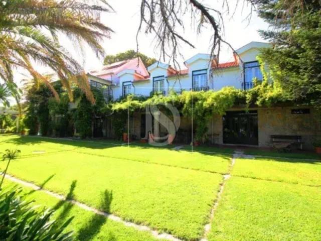 10 quarto, Castelo Branco Covilhã 103526011