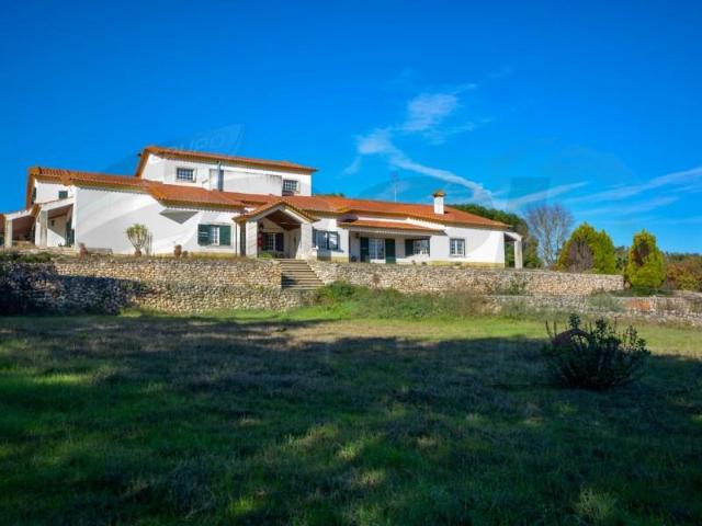 10 quarto, Abrantes Abrantes 99566652