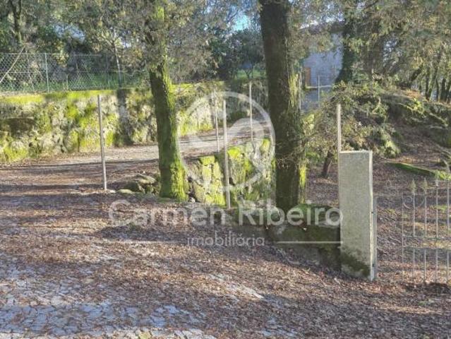 10 quarto, Braga Vieira do Minho 4850 96649521