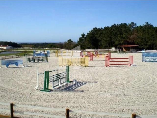 10 quarto, Odemira Odemira 98188028