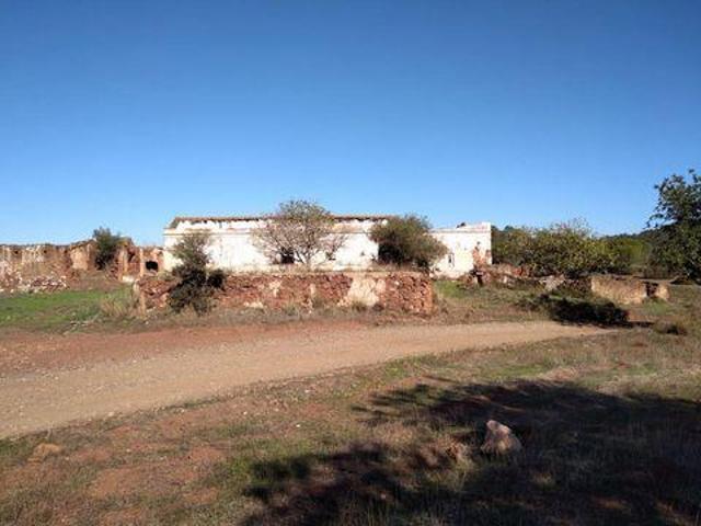 10 quarto, S B Messines Silves 8375 029 104988945
