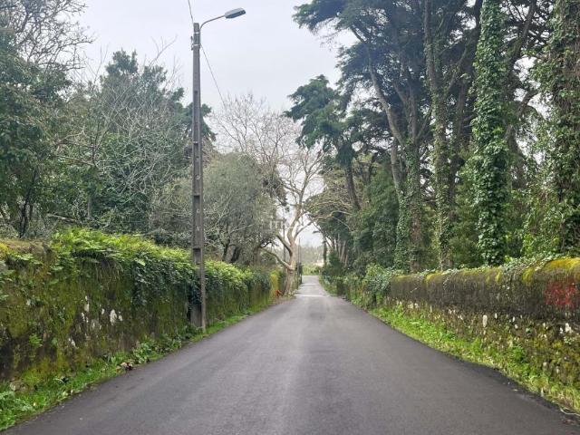 10 quarto, Sintra Lisboa 101152162
