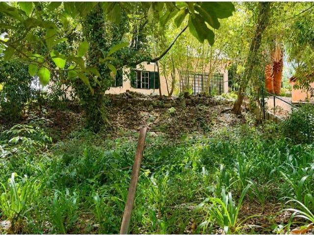 10 quarto, Sintra Sintra 104328321