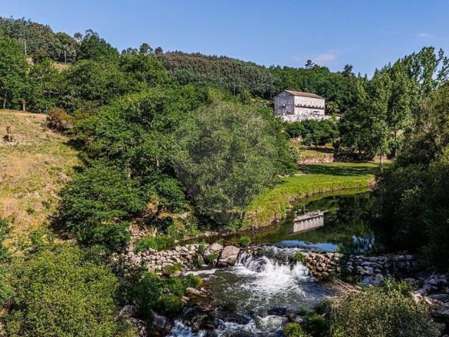 10 quarto, Tondela Viseu 101914762