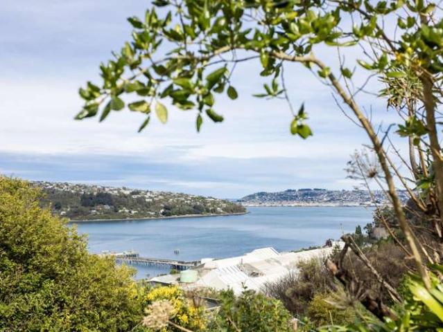 10A Hinau Street, Ravensbourne, Dunedin City