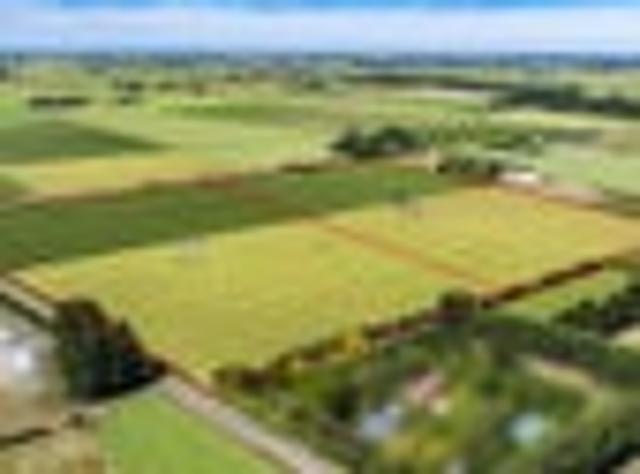 10ha bareland with right to build