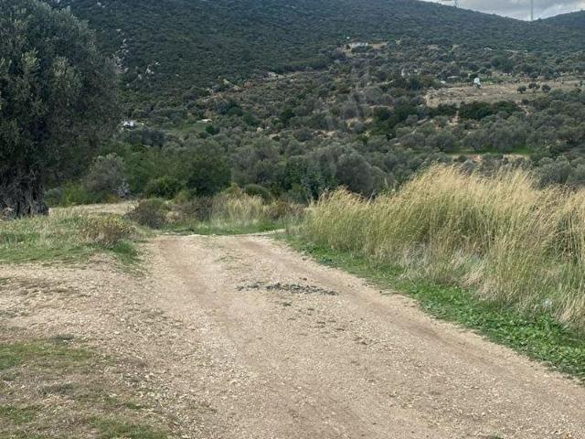 11000 lik imar planında, Çok hızlı yatırıma dönüşme fırsatı