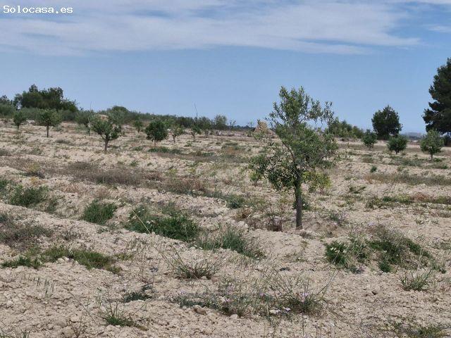 11000 m2 TERRENO RÚSTICO PARA CONSTRUIR