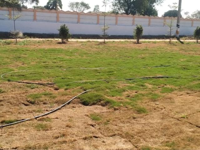 1100 Sq.Ft. Plot in Sector 20 Panchkula Listing ID: #10265