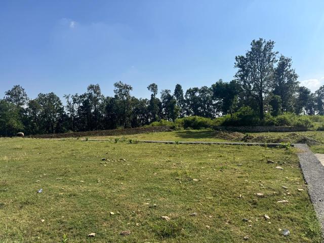 110 Sq.Yd. Plot in Dehradun Cantt Dehradun Listing ID: #9926