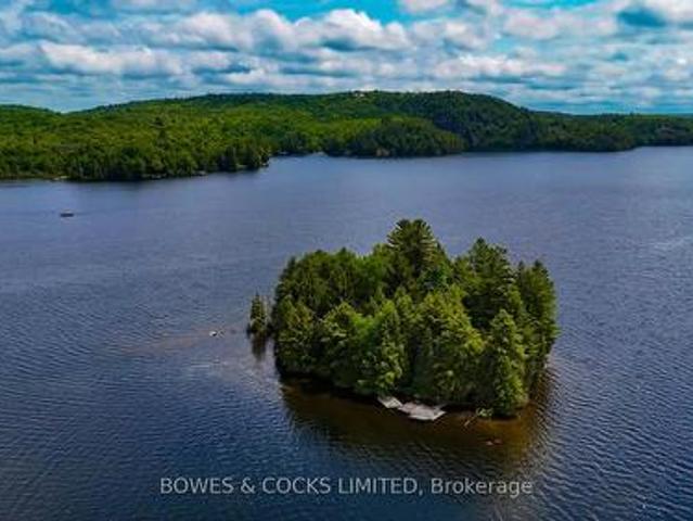 1117 Thunderbird Lane, Birch Island, Highlands East Bicroft Ward, ON, K0L 1M0 house for sale | Listing ID X12242 | Royal LePage