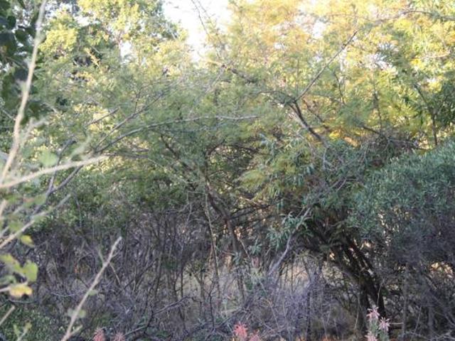 111 ha Land available in Groblersdal