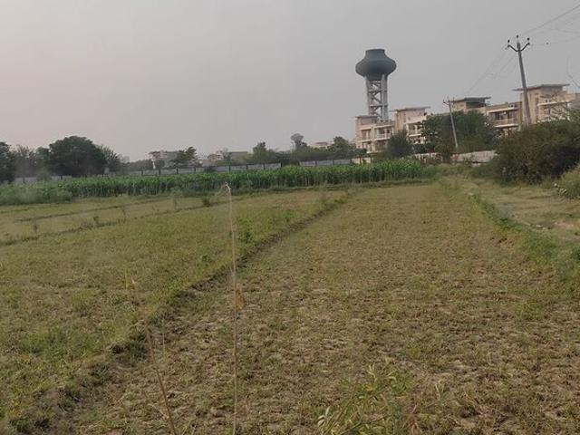 111 Sq.Yd. Plot in Mullanpur Chandigarh Listing ID: #10116