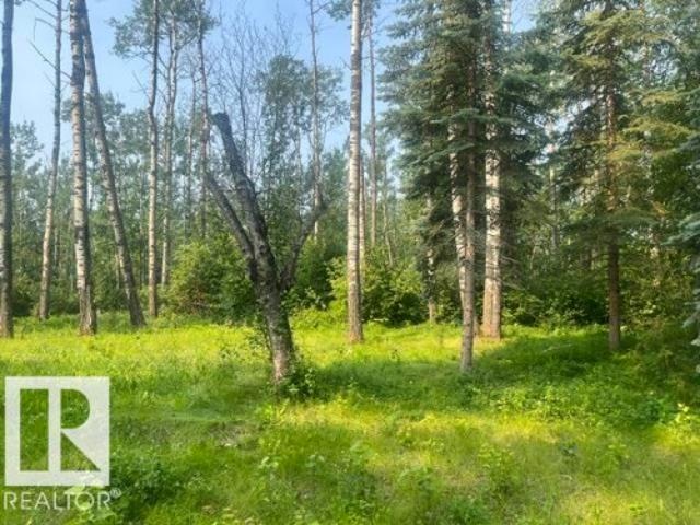 113 55 Rr 33, Rural Lac Ste. Anne County, AB, T0E 1A0 vacant land for sale | Listing ID E4500 | Royal LePage