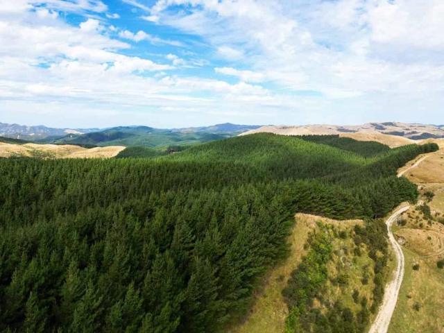 1151 Waitawhiti Road, Tinui, Masterton For Sale