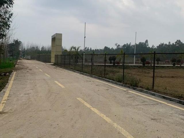 115 Sq.Yd. Plot in Mohabbewala Dehradun Listing ID: #10109