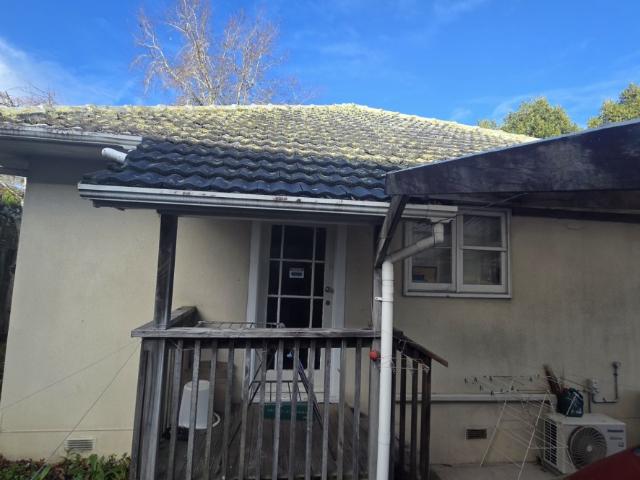 1/1656 Great North Road, Avondale, Auckland