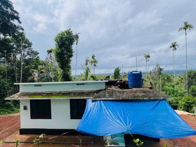11761 Sq.Ft. Plot in Kakkavayal Wayanad Listing ID: #9890