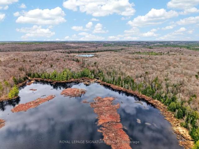 1170 Peter Road, Bracebridge, ON, P1L 1X3 vacant land for sale | Listing ID X13158 | Royal LePage