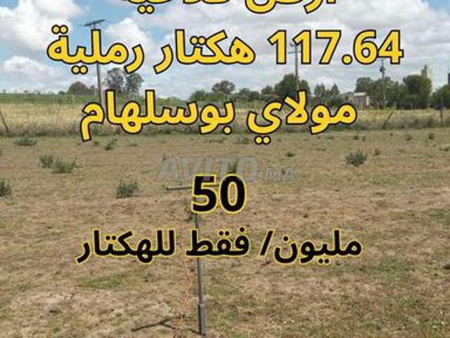 117.64 ha agricoles sablonneux Moulay Bousselham 50 millions