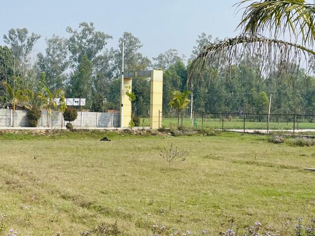 118 Sq.Yd. Plot in Biharigarh Dehradun Listing ID: #10116