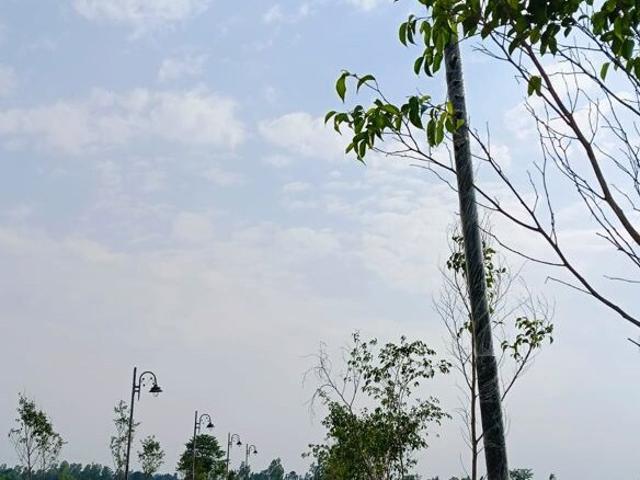 1190 Sq.Ft. Plot in Gosainganj Lucknow Listing ID: #10354